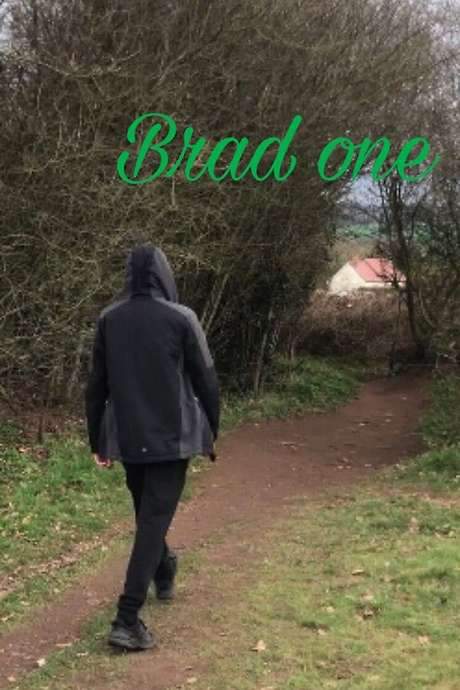 Crime‑fighting vigilante Bradman ventures into a remote forest to confront a gang of thugs and recover his stolen bag. During the clash he gradually realizes his tactics have become overly brutal, prompting deep remorse for the harshness he inflicted and forcing him to reevaluate his approach to justice.
